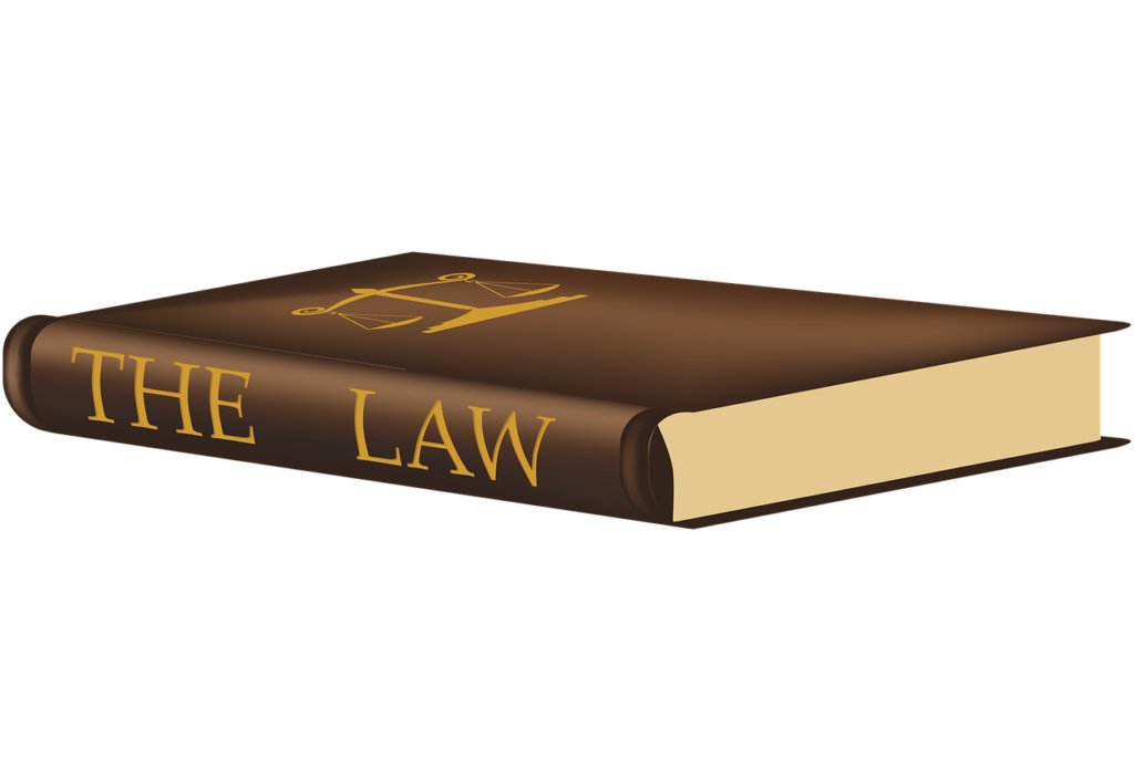 law, justice, lawyer-753482.jpg